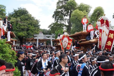 だんじり宮入