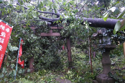 台風２１号